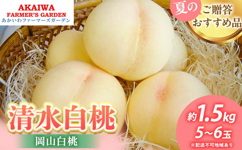 桃 2026年 先行予約 清水 白桃 約1.5kg 5～6玉 もも 岡山県 赤磐市産 フルーツ 果物 あかいわファーマーズガーデン