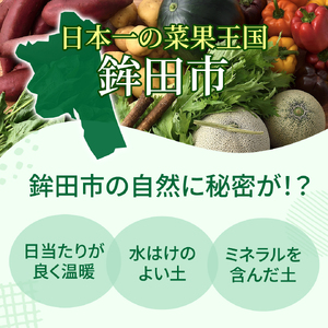 【フルーツ6回定期便】もぎたて市場から2ヶ月に1回発送／ 隔月 定期便 いちご 苺 メロン ぶどう 梨 キウイ 果物 くだもの 鉾田市 茨城県 送料無料 産地直送 ギフト 詰め合わせ 贈答 セット 採