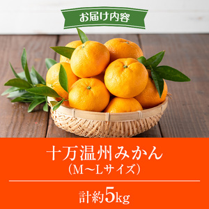 s765 ≪先行予約受付中！2025年12月中旬より順次発送≫十万温州みかん(計約5kg・M～Lサイズ) 鹿児島 国産 九州産 フルーツ 柑橘 みかん 蜜柑 【田野農園】