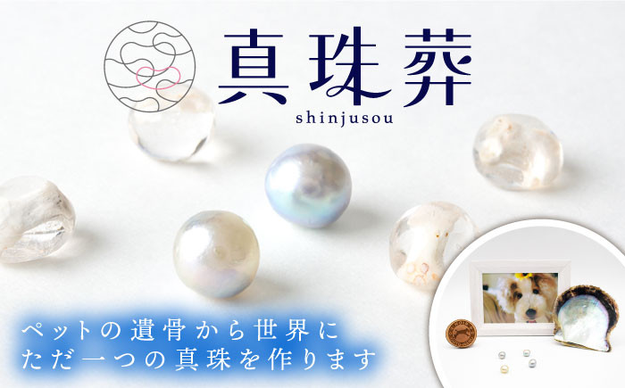 
            真珠葬 / ペット 供養 遺骨 真珠 思い出 五島市 / ウービィー株式会社 [PEZ001]
          