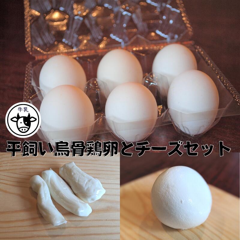 【ふるさと納税】【11月〜3月限定・牛乳】平飼い烏骨鶏卵 6個 モッツァレラチーズ 100g×2 ストリングチーズ 50g×2