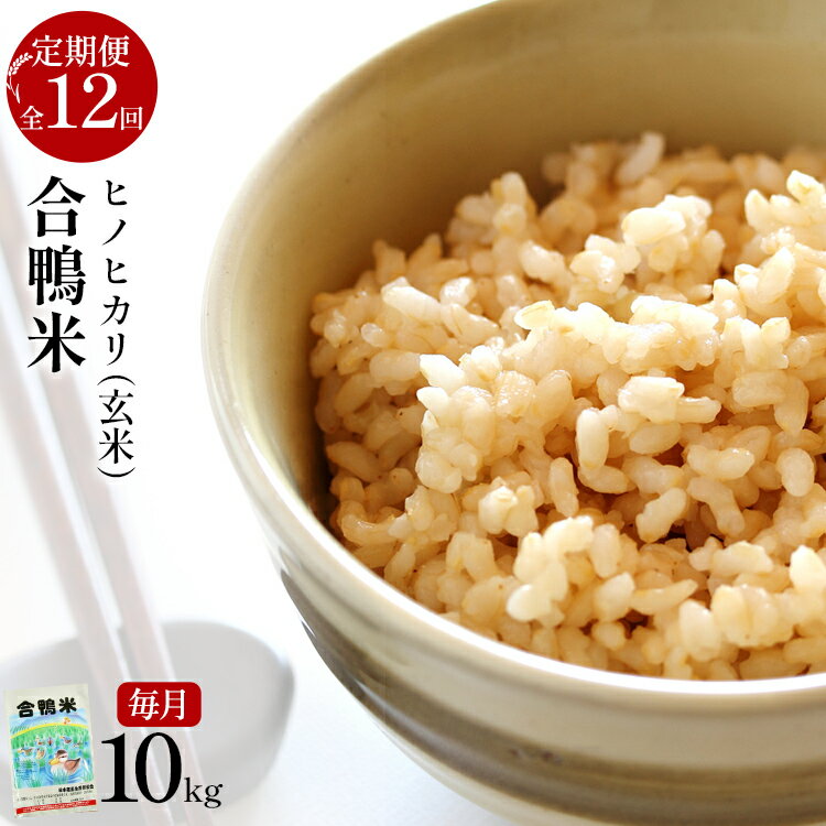【ふるさと納税】令和7年産 新米予約 合鴨米「ヒノヒカリ」（玄米・10kg）定期便12回コース 数量限定 ※令和7年10月スタートの定期便 BI07