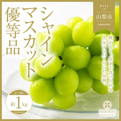 
                  2026年発送＜訳あり＞山梨県山梨市産　旬の採れたてシャインマスカット　優等品約1kg2～3房【1459692】
                