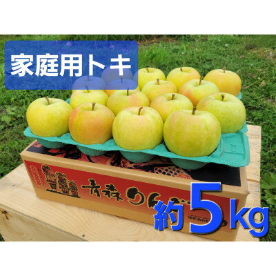 【ふるさと納税】【訳あり】青森県産りんご「トキ　家庭用」約5kg　産地直送!【1517219】