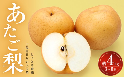 【先行受付】岡山県産 あたご梨 約4kg (3～6玉)（令和8年11月中旬～12月中旬頃発送）【岡山県産 あたご梨 なしフルーツ 果物 大きい 3～6玉 約4kg】