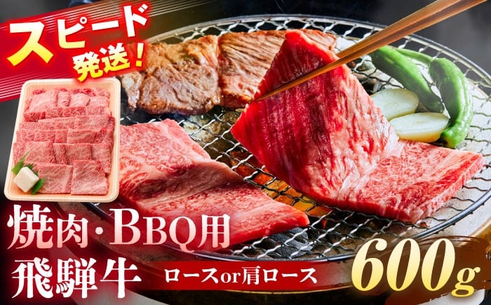 
            飛騨牛 焼肉 BBQ用 600ｇ 瑞浪市 /  冷凍 ロース 肩ロース 和牛 ギフト [AZDB016]
          