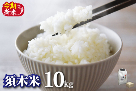 【先行受付】【令和8年度産】須木米 10kg　米