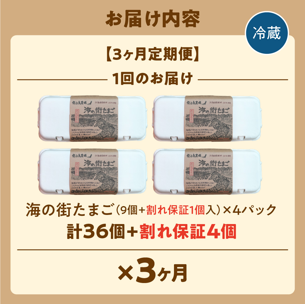 【定期便】飛ぶ鳥農場　海の街たまご　40個×3か月_is085-003-999