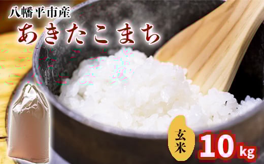 【令和7年産】 あきたこまち 玄米 10kg （5kg×2袋） ／ 中沢農産 こめ 米 コメ お米 おこめ ご飯 ごはん げんまい おにぎり お弁当 仕送り お取り寄せ 産地直送 農家直送 単一原料米 国産 国産米 東北 岩手県産 八幡平市産 おすすめ