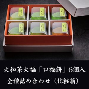 大福 お菓子 スイーツ 大福 大和茶 大福 茶 大福 スイーツ 大福 大和茶大福 口福餠 詰め合わせ 6個入り 株式会社八宝 J-34 奈良 なら