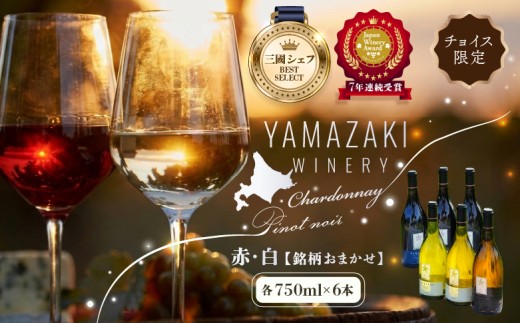 
                  【ふるさとチョイス限定】山崎ワイン（おまかせ6本セット）各750ml | 山崎ワイン YAMAZAKI WINERY ワイン 赤ワイン 白ワイン おまかせ おまかせセット ワインセット 750ml 750 6本 6本セット 各1本 酒 お酒 五つ星 三國シェフ 日本ワイナリーアワード 山崎ワイナリー お取り寄せ 北海道 三笠市 三笠【02005】
                