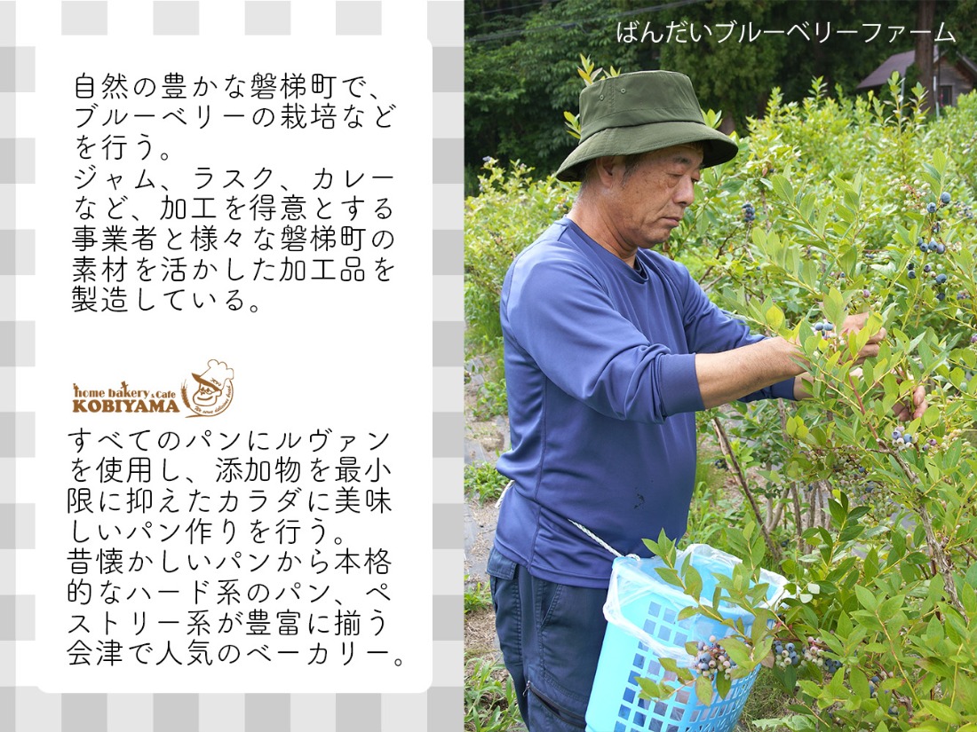 【クリスマスまでに発送】【予約】ブルーベリー シュトーレン （小） 250g前後×2個　※令和8年12月17日より発送