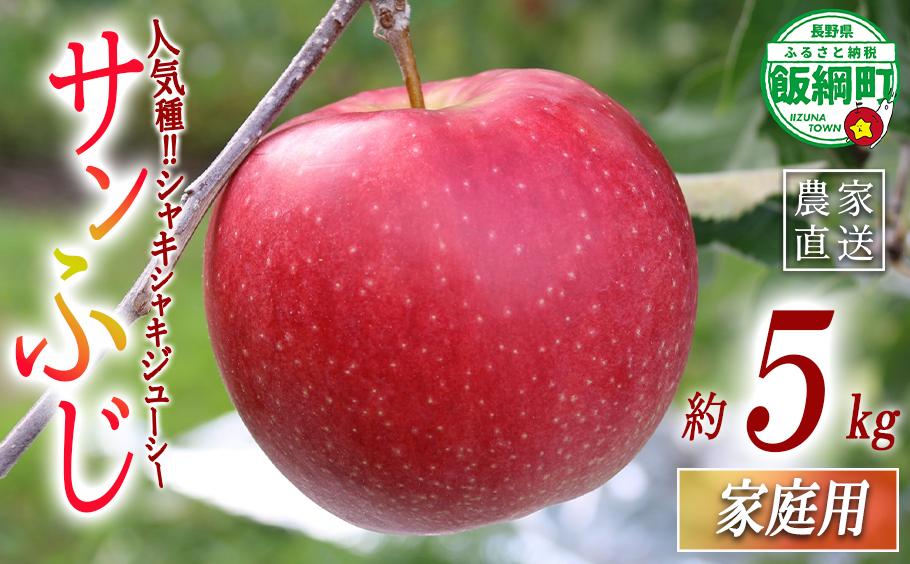 りんご サンふじ 5kg 家庭用 一里山農園 沖縄へは配送不可  2025年12月上旬から発送予定 長野県 飯綱町 [1898]
