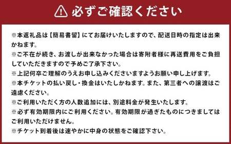 福岡県柳川市 日本旅行 地域限定旅行クーポン90,000円分（30,000円分×3枚）旅行クーポン 旅行 観光 クーポン 家族旅行 柳川市