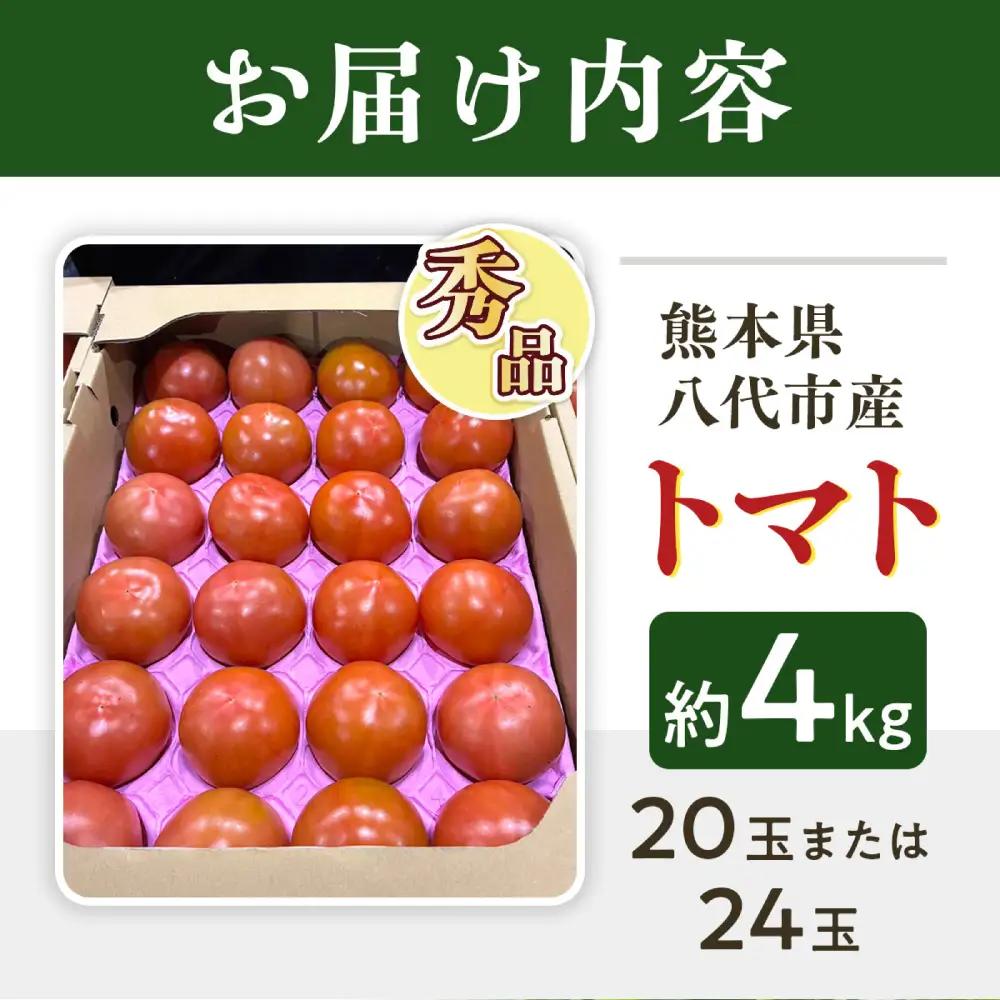 【先行予約】 熊本県八代市産 トマト 約4kg (20玉または24玉) 野菜 旬 【2027年1月上旬より順次発送】