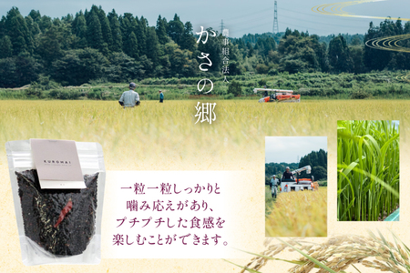 黒米 令和7年 200g 2袋 計400g 石川県産 無農薬