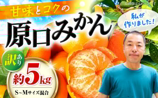 みかん 【年内配送】【訳あり】 原口みかん 約 5kg（S～Mサイズ混合） ＜山田果樹園＞ [CCX009] 長崎県 西海市 みかん ミカン 蜜柑 柑橘 みかん 温州みかん 訳あり みかん 産地直送 フルーツ 果実 果物 傷あり あまい ビタミン 旬 10000円 5kg 家庭用