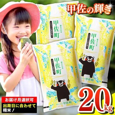 ふるさと納税 甲佐町 【限定】『甲佐の輝き』精米20kg【11月より新米発送】　令和8年産　新米【ZL】