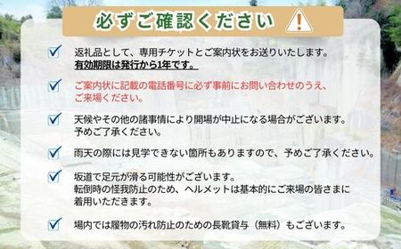 大谷石ものづくり体験 大人2名 | 栃木県 宇都宮市 大谷石 カネホン採石場 チケット 観光 旅行 ツアー ※離島への配送不可