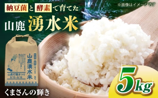 【先行予約】《2025年10月より順次発送》 こば農園のお米 くまさんの輝き 『山鹿湧水米』 白米 5kg 【合同会社 こば農園】 [ZFO002]