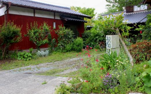 緑豊かな窯でつくられています。