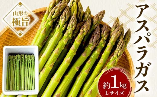 《先行予約 2025年度発送》山形の極旨 アスパラガス 約1kg（Lサイズ）  アスパラ 野菜 食品 山形県 FSY-0800