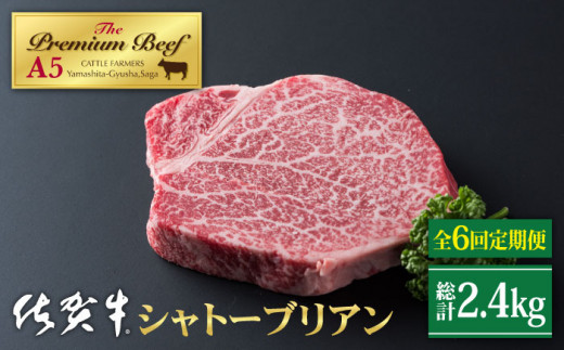 
【全6回定期便】佐賀牛 A5 シャトーブリアン 400g ( 200g×2枚 ) 【山下牛舎】 [HAD070]
