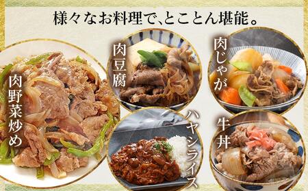 宮崎牛切り落とし【小分け】200g×3_12-J704_(都城市) 宮崎県産 宮崎牛 ウデ バラ モモ 肩ロースが混在 小分けパック