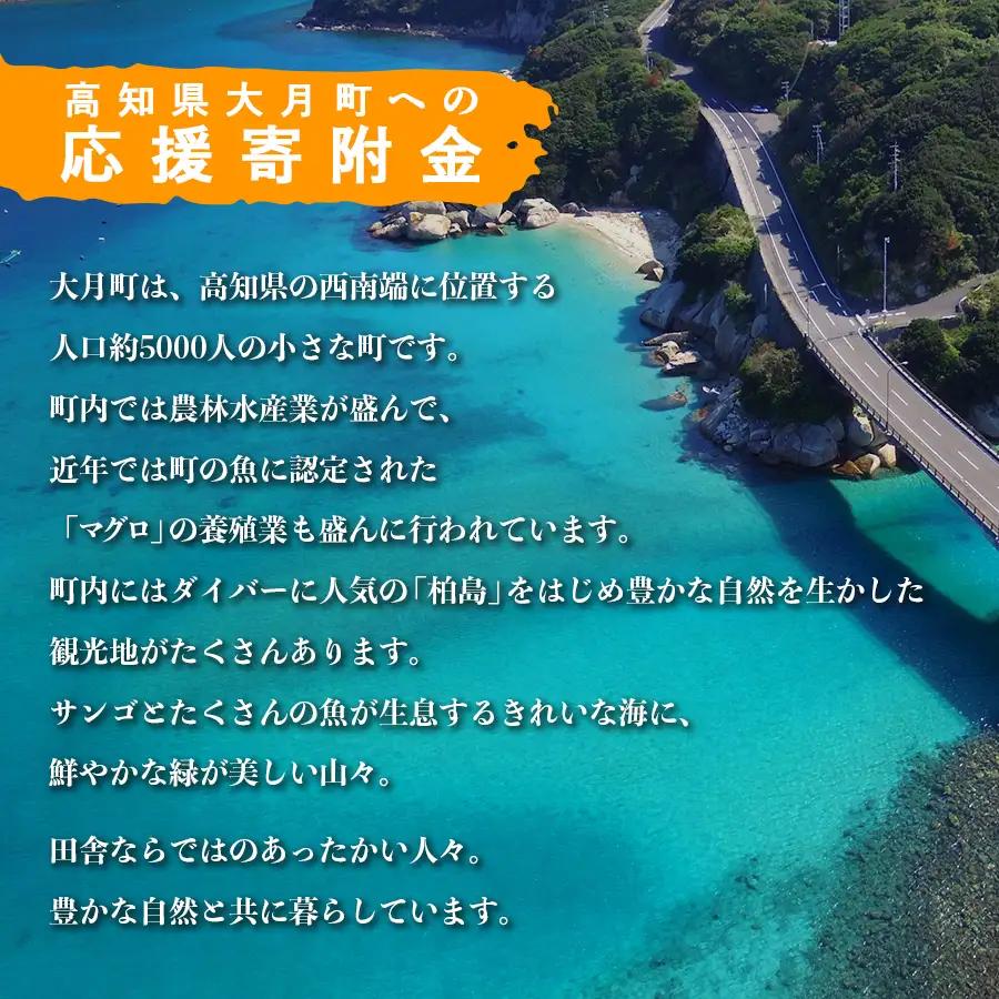 高知県大月町への応援寄付金【返礼品なし】