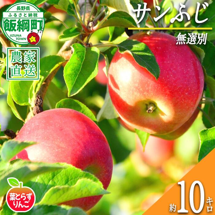 【ふるさと納税】 りんご サンふじ 葉とらず 無選別 10kg エバラ農園 令和8年度収穫分 長野県 飯綱町 〔 信州 果物 フルーツ リンゴ 林檎 長野 予約 農家直送 〕発送時期：2026年11月中旬〜{**}