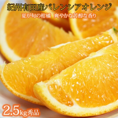 秀品　希少な国産バレンシアオレンジ　2.5kg【配送不可地域：離島】【1327760】