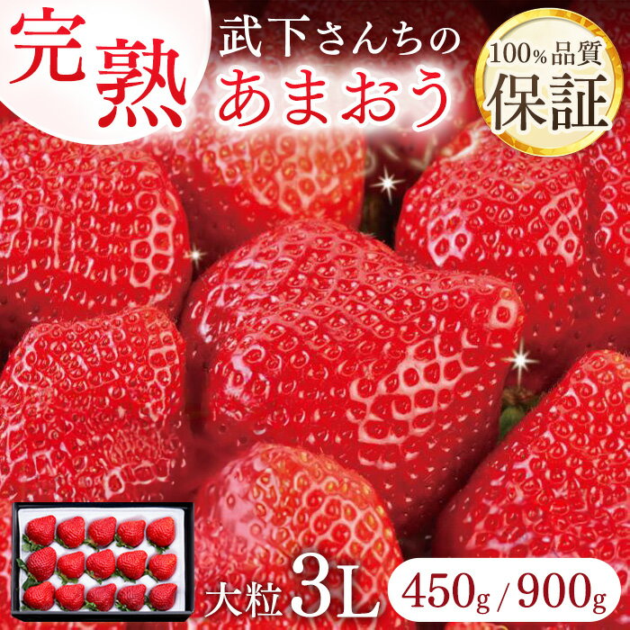 【ふるさと納税】【2026年1月～4月出荷分予約販売】 産直だからできる超完熟！ 武下さんちの「完熟あまおう」 3Lサイズ【450g・900g】 いちご 甘い 完熟 あまおう 苺 ストロベリー 大粒 産地直送 産直 フルーツ 果物 くだもの 福岡県 大川市 プレゼント ギフト