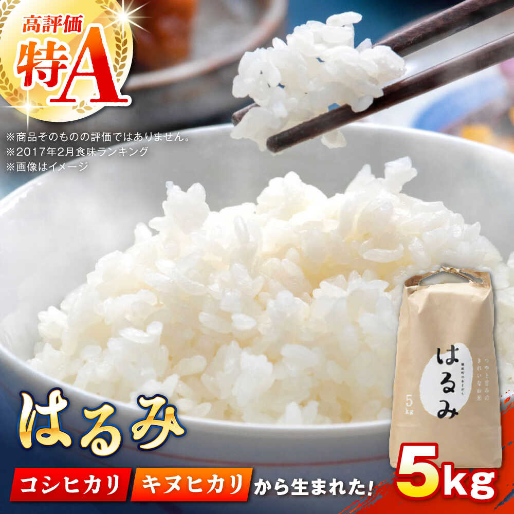 【ふるさと納税】【先行予約】【特Aランク受賞実績あり！】はるみ 5kg【遠藤ファーム】開成町 米 ご飯 白米 お米 特A 神奈川県産 ご飯 精米 袋 国産 [BDAF001]
