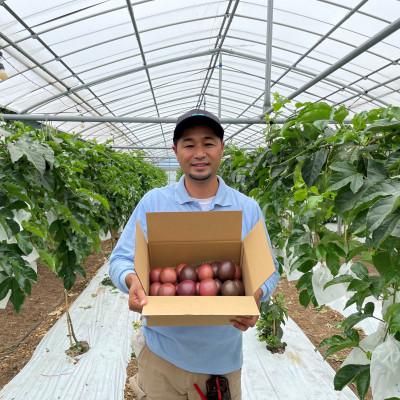 ふるさと納税 糸満市 【2026年発送・ご家庭用3kg(30玉前後)】栽培期間中農薬不使用のパッションフルーツ　 |  | 03