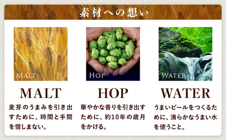 【3ヶ月定期便】サントリー ザ・プレミアム・モルツ 500ml×24本