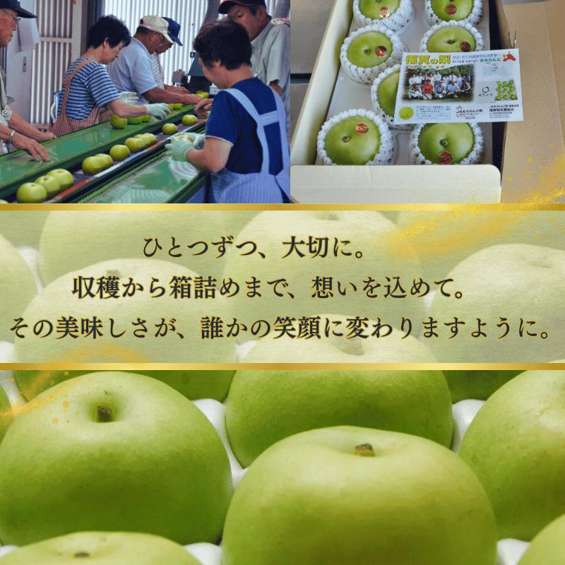 【先行予約】梨 福賀の二十世紀梨 約3kg 7玉 山口県阿武町産 高糖度 シャキシャキ食感 数量限定 【2026年8月下旬～9月中旬頃発送】