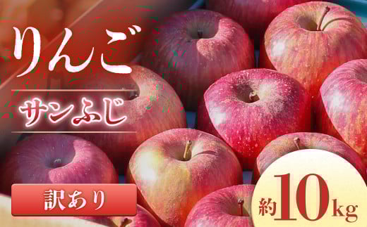 【2026年発送先行予約】【訳あり品】りんご サンふじ 約10kg（20～40玉）※2026年11月下旬発送開始予定※　林檎｜リンゴ｜長野県｜南信州
