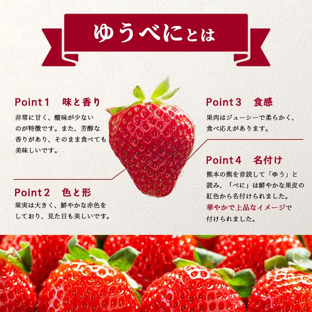 熊本県産 いちご ゆうべに 1kg (250g×4パック) 【2027年出荷分】イチゴ 果物 フルーツ 熊本県 多良木町 農園直送 107-0501