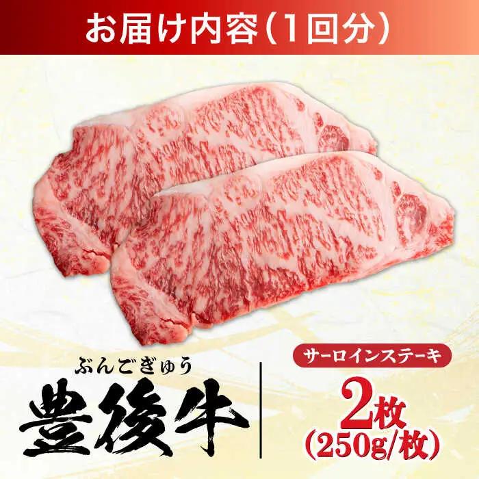 【全12回定期便】おおいた豊後牛 サーロインステーキ 500g (250g×2枚) サーロインステーキ [AREI058]