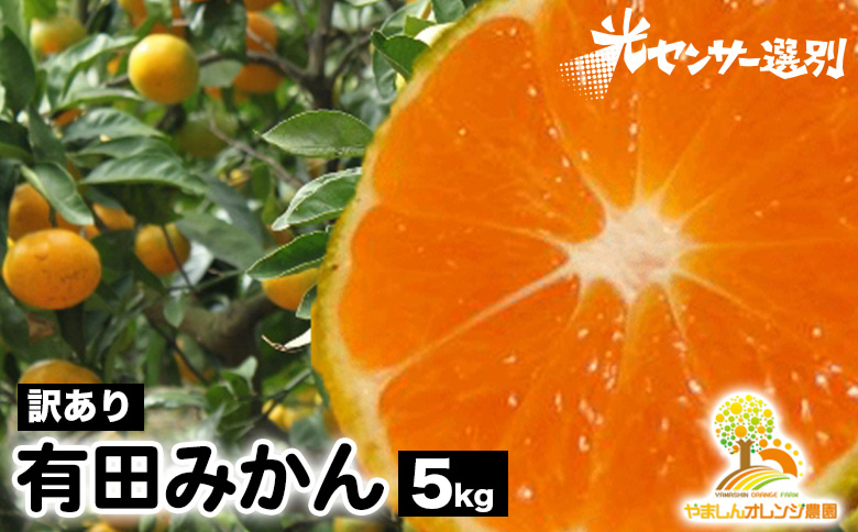 【先行受付】【訳あり】有田みかん 5kg ｜ 農家直送 訳あり ご家庭用 サイズ混合 光センサー選別 温州みかん みかん 訳あり わけあり 家庭用 ※2025年11月中旬～12月下旬頃に順次発送予定※北海道・沖縄・離島への配送不可