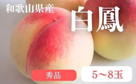 和歌山県産 白鳳 桃 5～8玉入り 秀品 先行予約| 和歌山県 白鳳 フルーツ 果物 くだもの 桃 もも 大玉 モモ ピーチ ギフト お取り寄せ 贈答用 秀 家庭用 自宅用 贈答品 化粧箱入