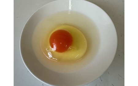 No.423 彩美卵　寿　20個