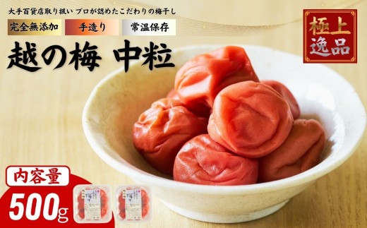 及川農園 梅干し 越の梅 【中粒】 500g / 賞味期限 約3年 国産 手作り 完全無添加 大手航空会社 国際線 ファーストクラス 12年連続採用 百貨店取り扱い 梅 セット グルメ お取り寄せ 特別 ギフト 贈答品 贈り物 送料無料 【#0159-0500】