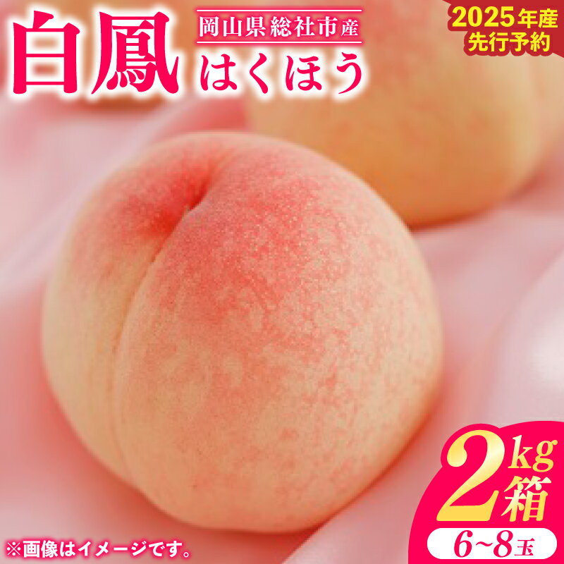 【ふるさと納税】2025年産先行予約 白桃 白鳳 2kg箱 岡山県 総社市産 7月配送 6～8玉