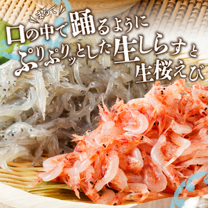 a30-221　【定期便 3回】 焼津産生しらす(100g×3) 生桜えび(70g×3個)