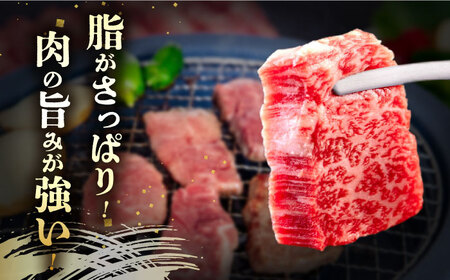 長崎和牛 あか牛 焼肉用 1kg (500g×2)《対馬市》【高田牧場】 対馬 牛 和牛 焼肉 冷凍配送[WCR004]