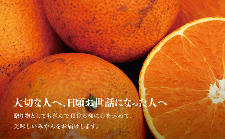 【三つ星ブランド】星乃まどんな(3.5kg)【C45-86】【1475871】