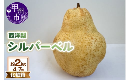童夢の西洋梨「シルバーベル」化粧箱 約2kg（4～7個）【2025年発送】（DOM）B-1452