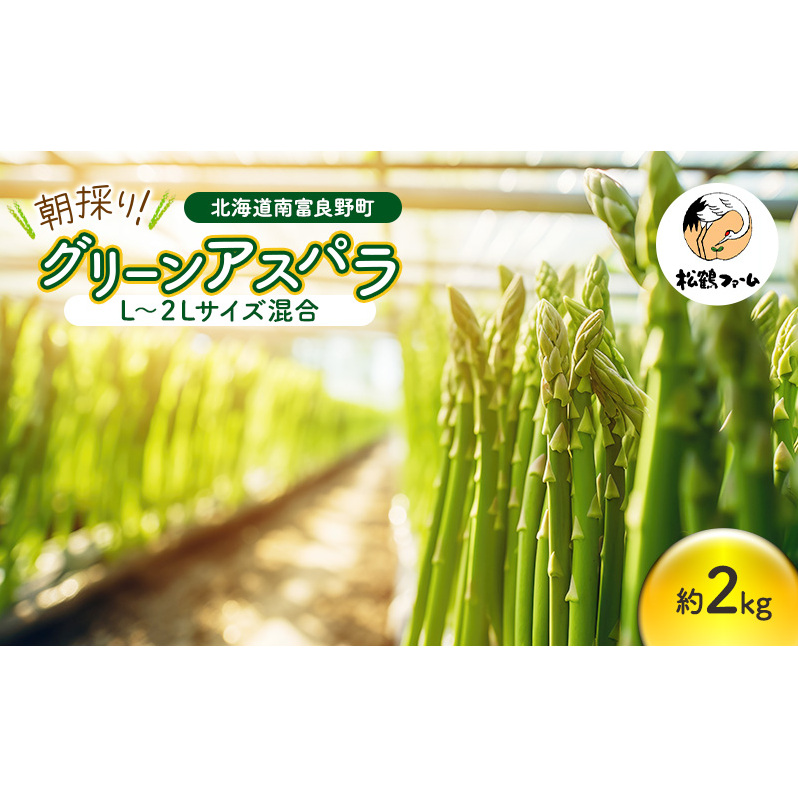 朝採り グリーンアスパラ L～2Lサイズ混合 2kg［松鶴ファーム］アスパラ アスパラガス ハウスアスパラ 野菜 やさい 新鮮 とれたて 甘い 北海道 南富良野
