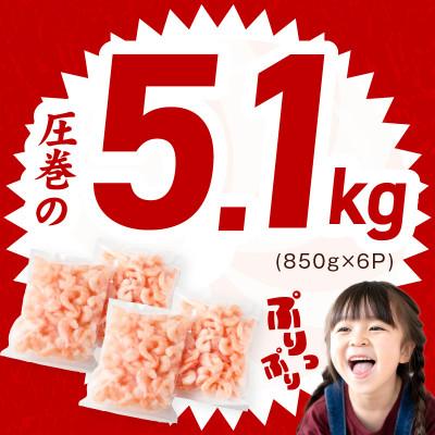 ふるさと納税 泉佐野市 むきえび 総量5.1kg 大型5Lサイズ 下処理不要 小分け 訳あり サイズ不揃い G3194 |  | 01
